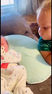 196K views · 2.6K reactions | Big want pacifier too | Newborn babies KH | Facebook