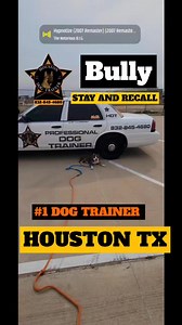 The Houston Dog Trainer is your trusted partner in transforming your...