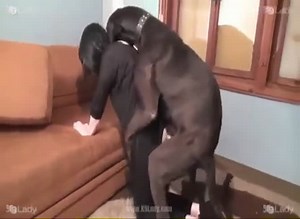 Ariel and her huge dog