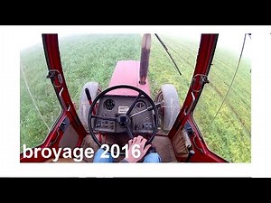 case international 845 XL / broyage des moutardes