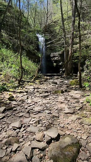 35 reactions | Lost Creek Falls nera Sparta, Tennessee | Outdoor Adventures in Tennessee | Facebook