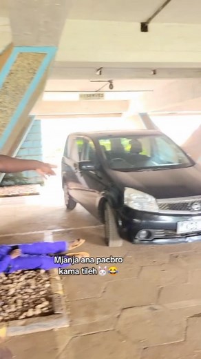 Mjanja anapacbro kama tileh🐰😂#mjanjamkamba | Mjanja Mkamba