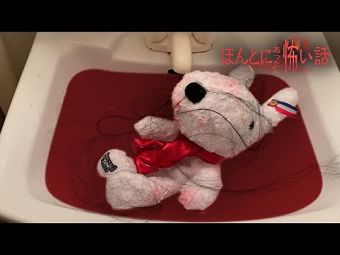 True Scary Stories 2022 Special Edition "Hide and Seek"