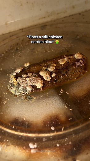 Exploring an Abandoned Kitchen: A Culinary Find
