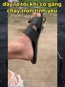 càng chạy nó càng đuổi mới hay 🤣 | Blog Radio