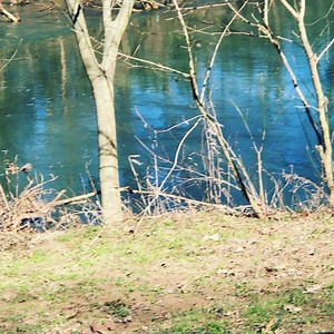 In the middle of challenge nothing like a walk with your bestie Miss Dallas by the river... in Good Hands | Reba Rambo