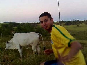 Comendo a Vaca - Sexo com Animais