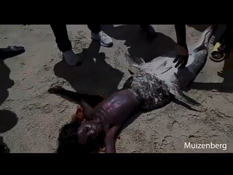 TRUTH ABOUT THE MERMAID CAUGHT IN UKUNDA,KWALE, KENYA