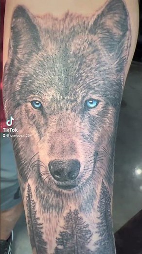 Wolf Forearm Tattoo | Black & Grey Realism with Pine Tree Silhouette by Mi Vida Tattoos
