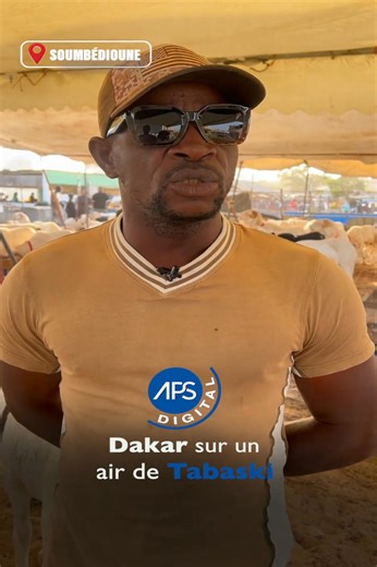 1.8K views · 28 reactions | #Tabaski : L’équipe digitale de l’APS a fait un tour dans trois points de vente de moutons de la capitale, Dakar. Une idée de la fourchette des prix affichés par les vendeurs. | APS (Agence de Presse Sénégalaise) | Facebook
