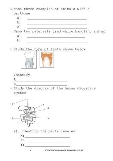 Grade 4 Science and Technology Mid Term 2 2025 Exam