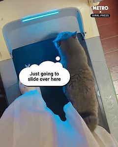 20K views · 94 reactions | There's only room for one supermodel in town  | Metro | Facebook