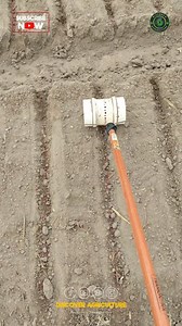 57K views · 42 reactions |  Looking to make seed sowing easier? Try...