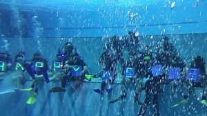 1.1K views | 潛立方旅館（潛水旅館）Divecube Hotel on Reels | Facebook