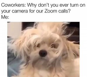 1K views · 78 reactions |  | Understanding Introverts | Facebook