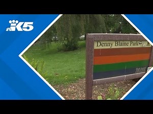 Neighbors claim 'rampant' public masturbation at Seattle's Denny Blaine Park