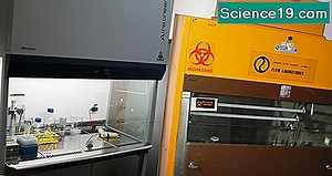 Как UV светлината уврежда ДНК нишката? 💫 Научно-Популярен Мултимедиен Портал. 2025