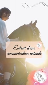 Extrait de communication avec un cheval #discipline #equestre #polyvalence #reapprendre #cheval #proprietaire #adaptation #heureux #emiliecomanimale | Emilie Com'animale