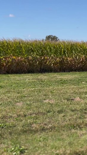 16 reactions | She's a beauty Owner: @fucknthicc. Boostautoparts.com | Boost Auto | Facebook