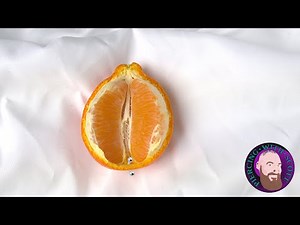 The Whole Truth - Fourchette Piercing