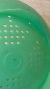 Tupperware Vintage Tupperware, Jadeite Color, #339, 2 Quart Footed Colander / Strainer, Shower Gift, Vintage Tupperware, Retro Kitchen, Farm - Etsy Canada