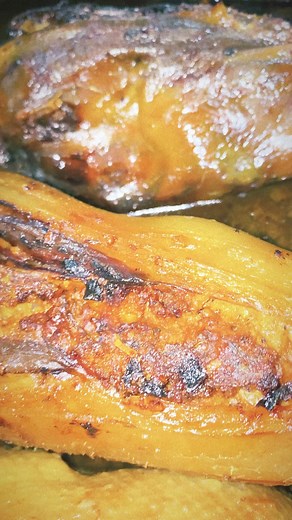 Mutton Bird/Tītī Trifecta 1 - Stuffed Freshies cooked on the coal range 2 - Sloppy Salted birds and Veggies 3 - Mutton Bird/Tītī heart stew with a Dough Boy Topper! What would you eat first? | Farm 4 Life