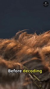 For those familiar with him, Giorgio Tsoukalos is instantly recognisable for his animated gestures, wild hair, and passionate—sometimes controversial—claims linking ancient monuments to extraterrestrial influence... | We Love Ancient Aliens