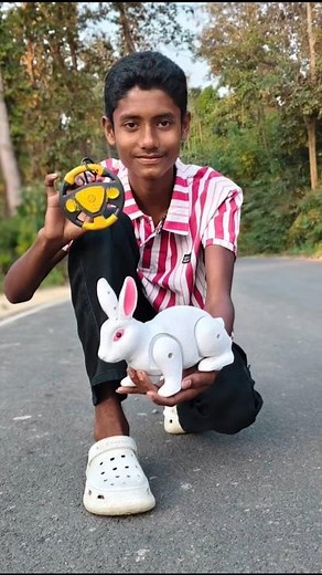New remote control rabbit 🐰 unboxing and review test