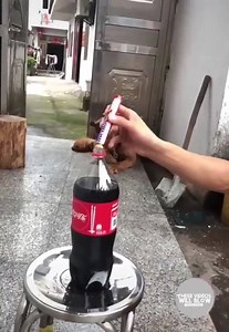 I can't stop watching | FunnyPhotoFrames.com | Facebook