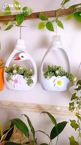 DIY Gardening Tips | Women Life