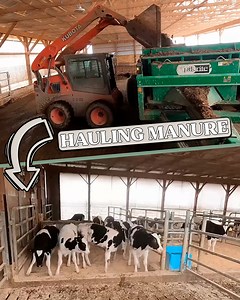 I Hauled a Lot of Manure! | The 10th Generation Dairyman