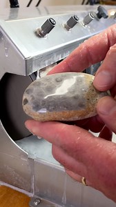 It's harder to spot Petoskey stones when they're dry. Let's see how I do picking up a good one to polish. | Michigan Rocks