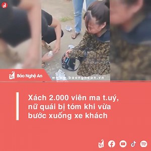 5.2K views · 111 reactions | Đừng bao giờ coi thường phụ nữ  Ship hẳn 2000 viên mai thuý luôn !  Báo Nghệ An | Quốc Lộ 48 | Facebook