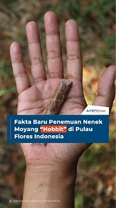 2.9K views | Homo floresiensis adalah spesies manusia purba berukuran...
