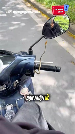 POV: A snake hitched a ride on my bike 😆 #shorts