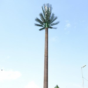 [Hot Item] Innovative Palm Tree-Like Telecommunication Towers for Discreet Connectivity