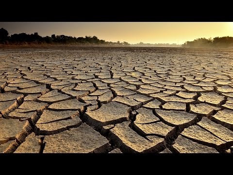 The Basics: Signs You’re Dehydrated
