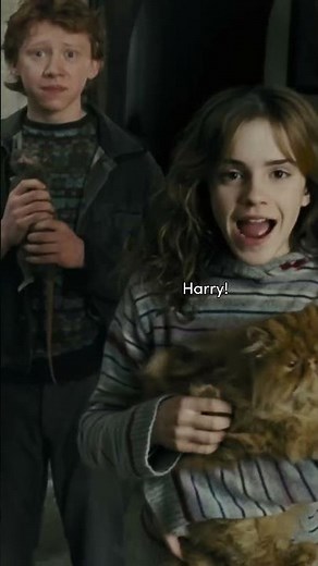 Harry Potter, but make it a coming-of-age film #BackToHogwarts