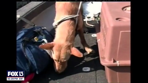 Lessons that changes disaster response after Katrina