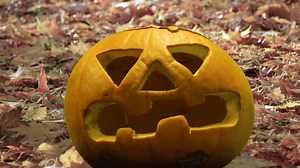 November is here and so is the need to get rid of your pumpkins! 🎃 If you don't have a compost bin or just want to save the space, bring your pumpkins to the City composting drop-off location on Nov. 3! 🎃 Learn more: facebook.com/events/2575412129349077 | City of Issaquah - Government