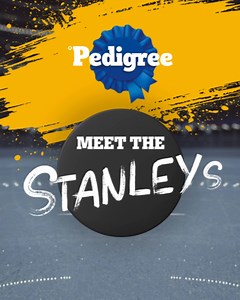 20 reactions | Who’s ready for the Stanleys?! We’re teaming up with Abandoned Pet Rescue in Fort Lauderdale and The Animal Foundation in Las Vegas to cover adoption fees for dogs named ‘Stanley’ in their shelters for the duration of the hockey finals. And it just so happens they’ve renamed all of their dogs to ‘Stanley!’ Check out our Stanley dogs in need of forever homes! #PEDIGREE #Stanleys | Pedigree US | Facebook