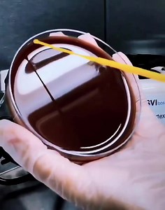 Fish bone Streaking method 😍😍 #parasitology #bacteria #bacteriology #microbiologist #medical #labscientist #microbiology | Medical Lab Technology - MLT Globe