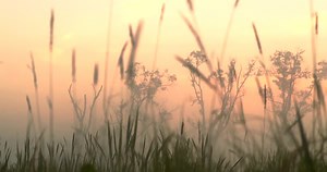 1.3K views · 41 reactions | Located just twenty minutes from downtown...