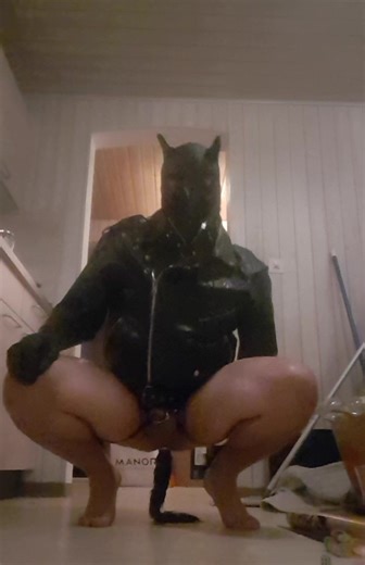 Dirty Dog comes Home