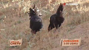 CHETU NI CHETU | ITV Tanzania