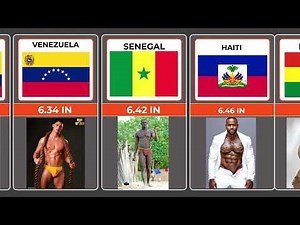 How Penis Size Varies Worldwide – Science Backed!