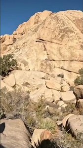Baker Dam In Joshua Tree National Park #hiking #nationalpark #joshuatree #adventure #nature #desert