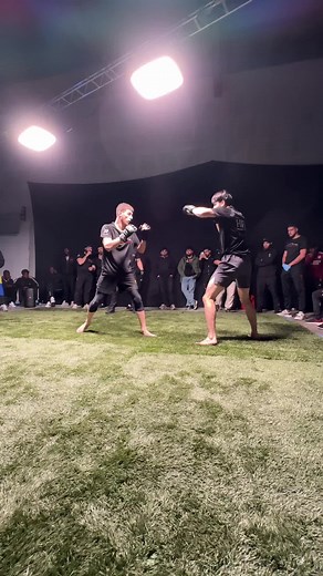 HFL15 sur Youtube #pourtoi #mma #boxing🥊 #typ