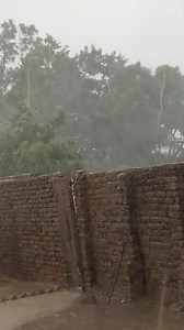 دریا خان ضلع #بھکر میں طوفانی بارش کے مناظر☔⚡⚠️⛈️🌪️!!! Pakistan Weather Information #Punjab #Bhakkar #monsoon #storm #weather #rain | Pakistan Weather Information