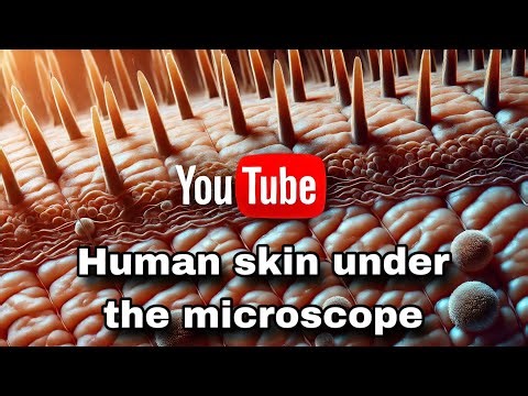 Human Skin Under Microscope at 1000x | Microscopic View of Hair Follicles and Skin Texture🧍‍♂️ 🔬